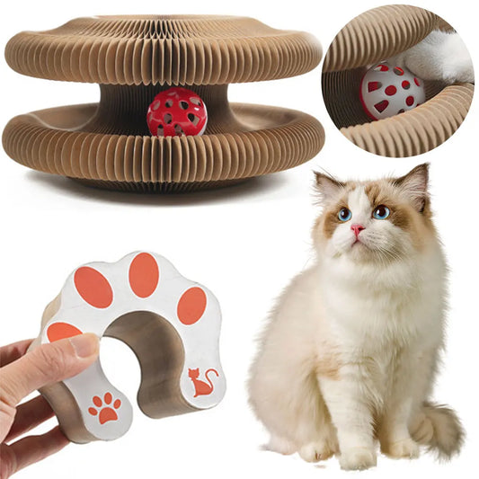 Magic Cat Accordion Scratcher