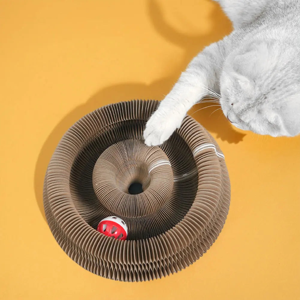 Magic Cat Accordion Scratcher