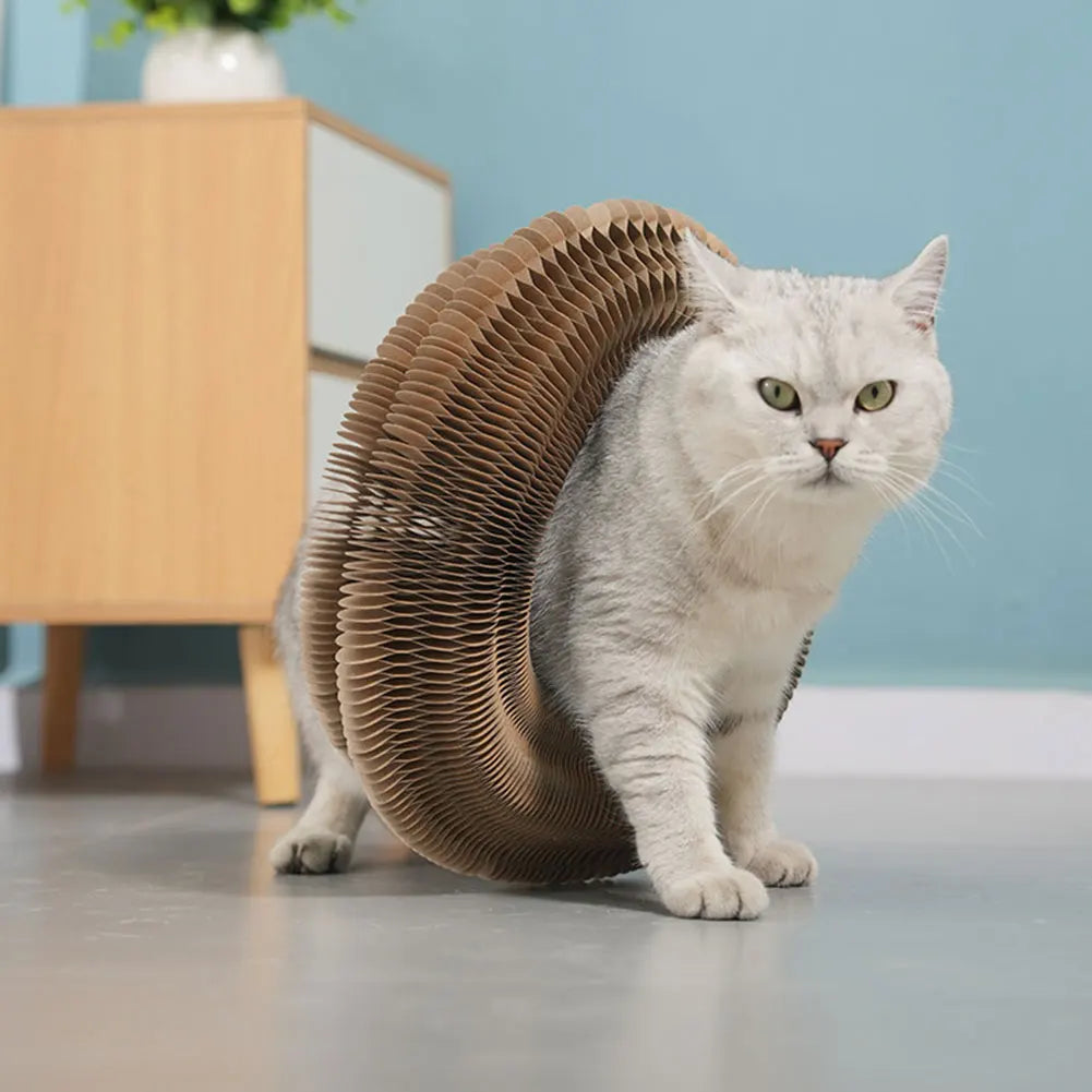 Magic Cat Accordion Scratcher