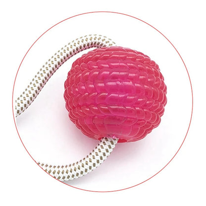 Play & Clean Suction Dog Ball