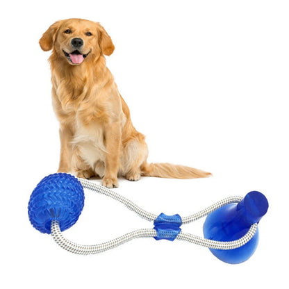 Play & Clean Suction Dog Ball